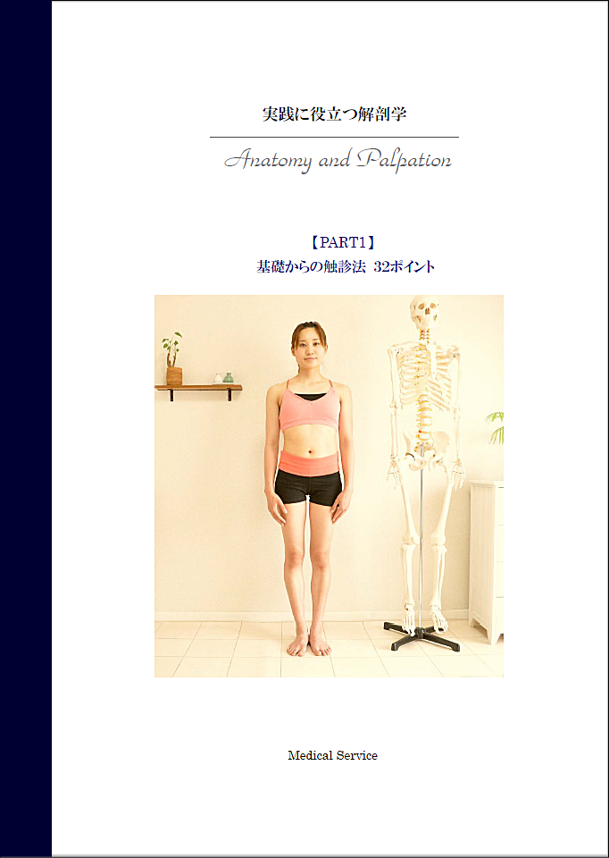 【ＤＶＤ】実践に役立つ解剖学　PART1　基礎からの触診法32ポイント